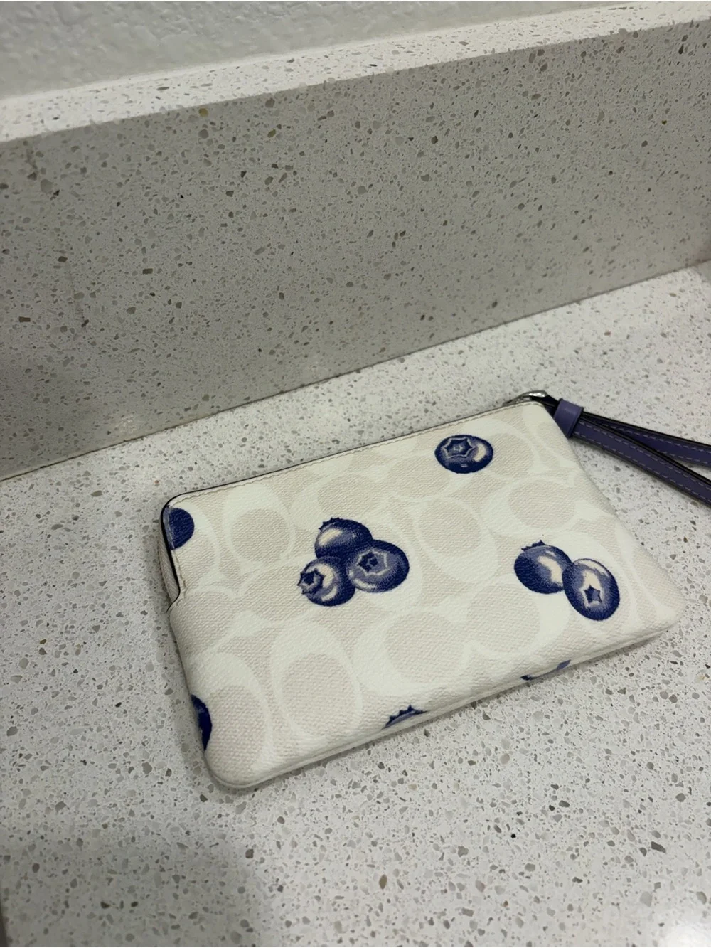 CR817 Coach Corner Zip Wristlet Blueberry Print Signature Canvas CUTE EUC